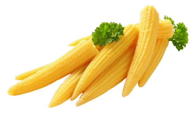 Baby Corn