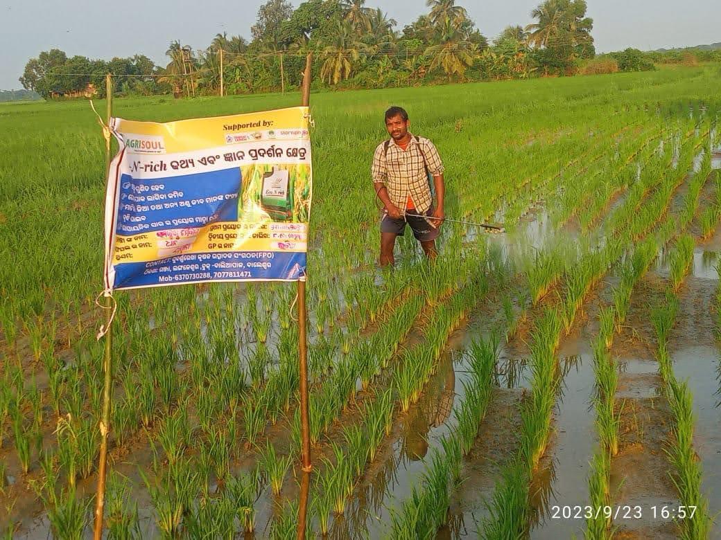 Rural Prosperity
