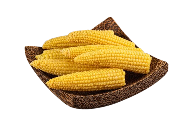Organic Sweet Corn
