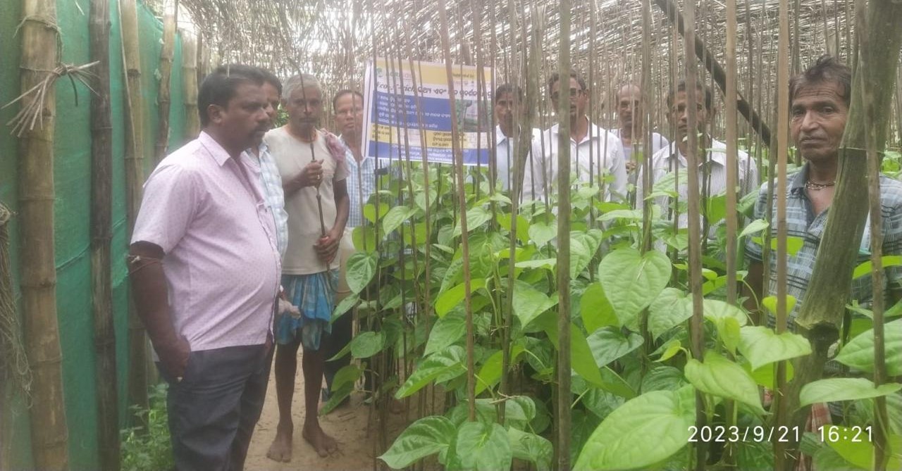 Eco-friendly Agriculture