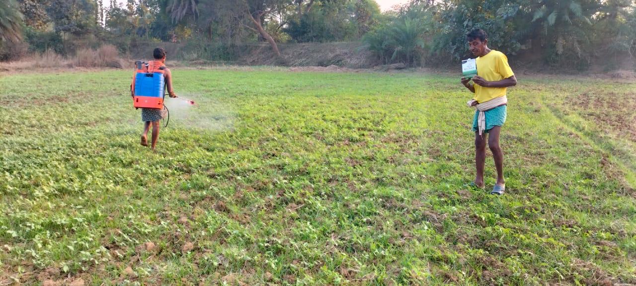Sustainable Farming