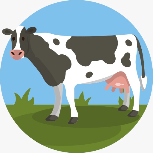 Dairy